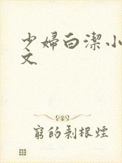 少妇白洁小说全文