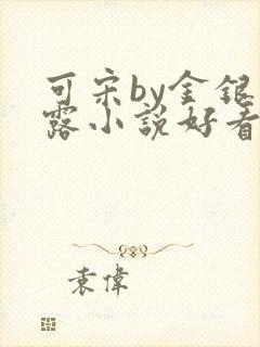 可宋by金银花露小说好看吗