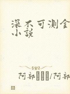 深不可测金银花小说