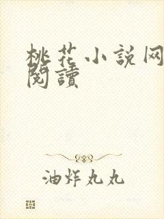 桃花小说网小说阅读
