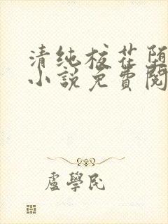 清纯校花堕落记小说免费阅读