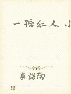 一号红人 小说