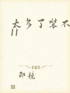 太多了装不下H11