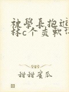 被学长抱进小树林c个爽软件