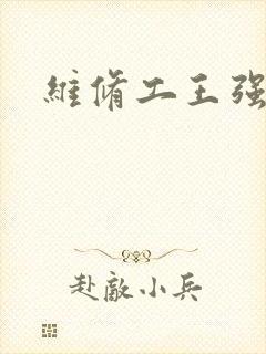 维修工王强张婷