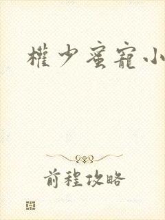 权少蜜宠小娇妻