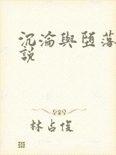 沉沦与堕落的小说