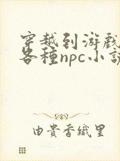 穿越到游戏里和各种npc小说