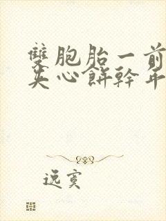 双胞胎一前一后夹心饼干年下