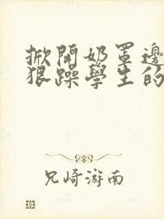 掀开奶罩边躁狠狠躁学生的小文字