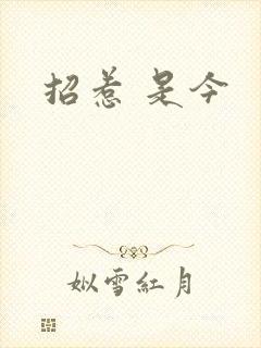 招惹 是今