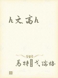 h文高h