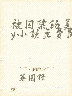 被囚禁的美人by小说免费阅读