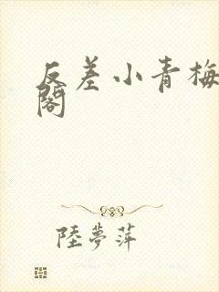 反差小青梅笔趣阁