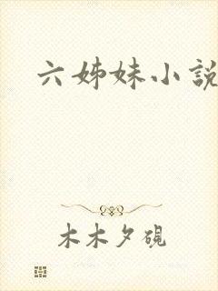 六姊妹小说