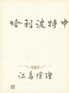 哈利波特中文版