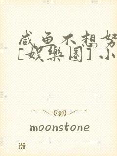 咸鱼不想努力了[娱乐圈] 小说