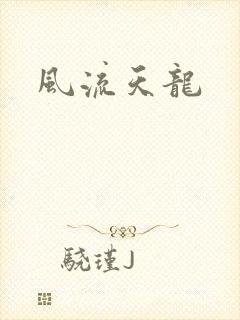 风流天龙