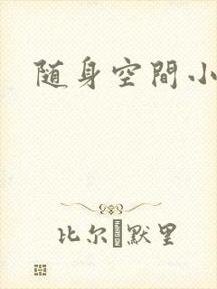 随身空间小说