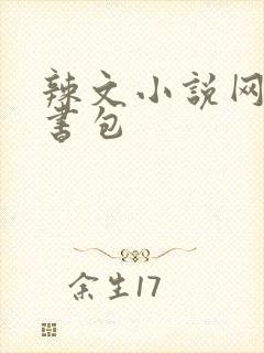 辣文小说网第二书包