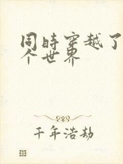 同时穿越了99个世界