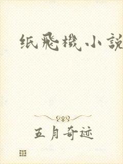 纸飞机小说