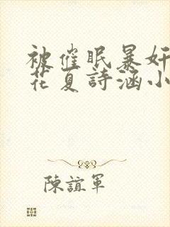 被催眠暴奸的校花夏诗涵小说