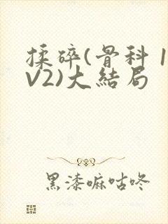 揉碎(骨科 1V2)大结局