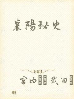 襄阳秘史
