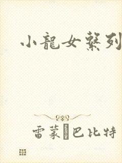 小龙女系列小说