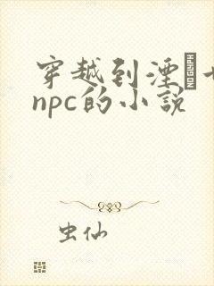 穿越到湮婸世界npc的小说