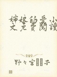 婶娘的爱小说全文免费阅读