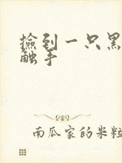 捡到一只黑心小触手