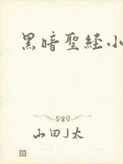 黑暗圣经小说