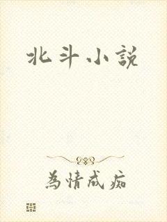 北斗小说