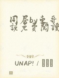 同居by东哥小说免费阅读全文无弹窗