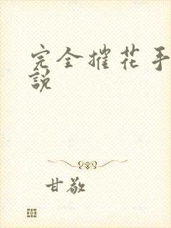 完全摧花手册小说