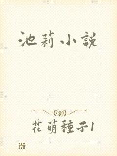 池莉小说