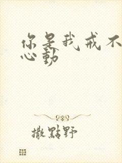 你是我戒不掉的心动