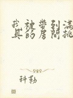 我被带到满是玩具的房间挑调作文