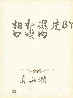 相对湿度BY大口吃肉