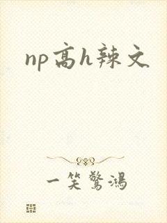 np高h辣文