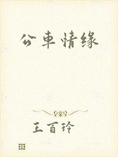 公车情缘
