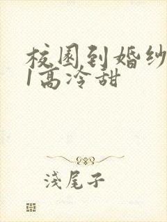 校园到婚纱1V1高冷甜