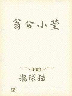 翁公小莹