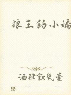 狼王的小娇妻