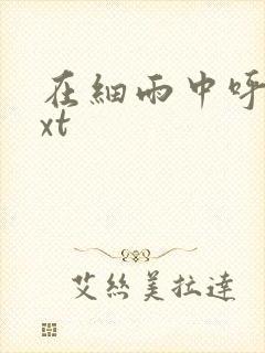 在细雨中呼喊txt