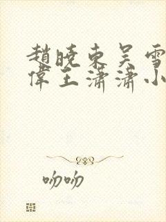 赵晓东吴雪晴郑伟王潇潇小说名字