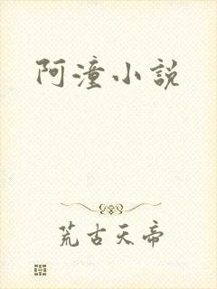 阿潼小说