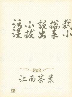 污小说总裁整夜没拔出来小说在线阅读